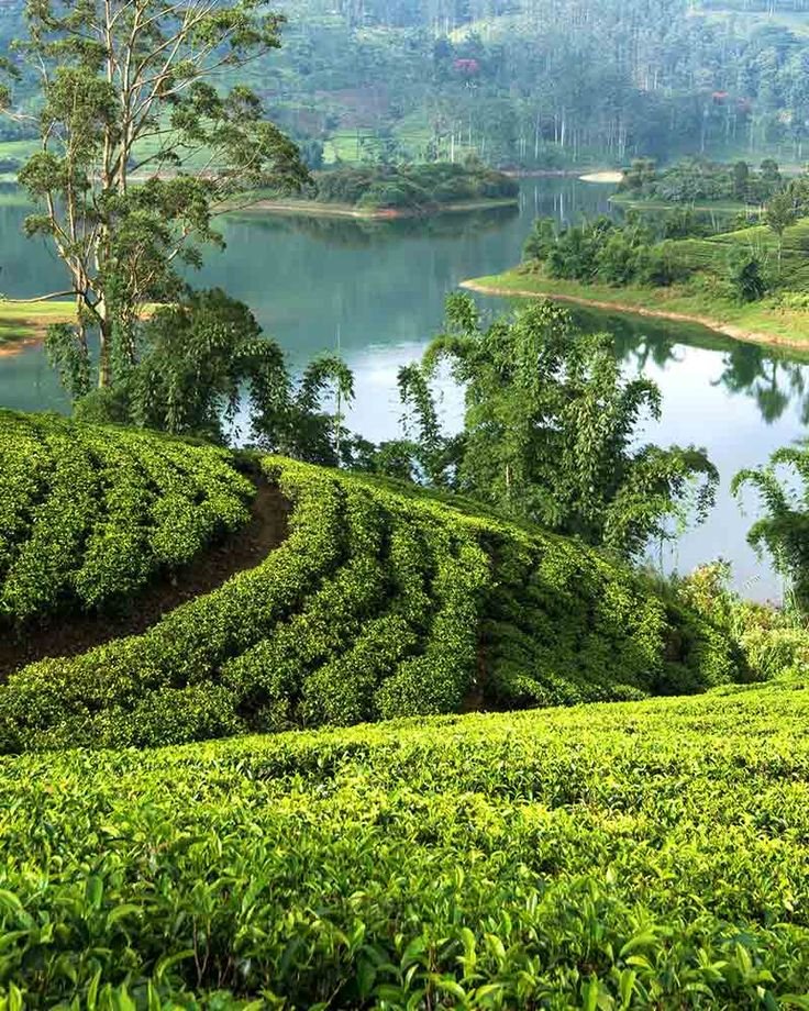 Discover The Best Of Hatton In A Day